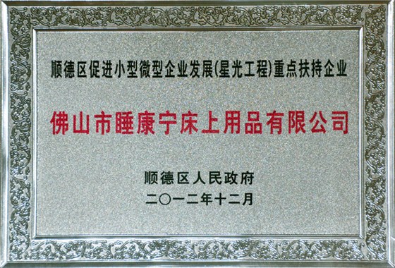 顺德星光工程重点扶持企业证书